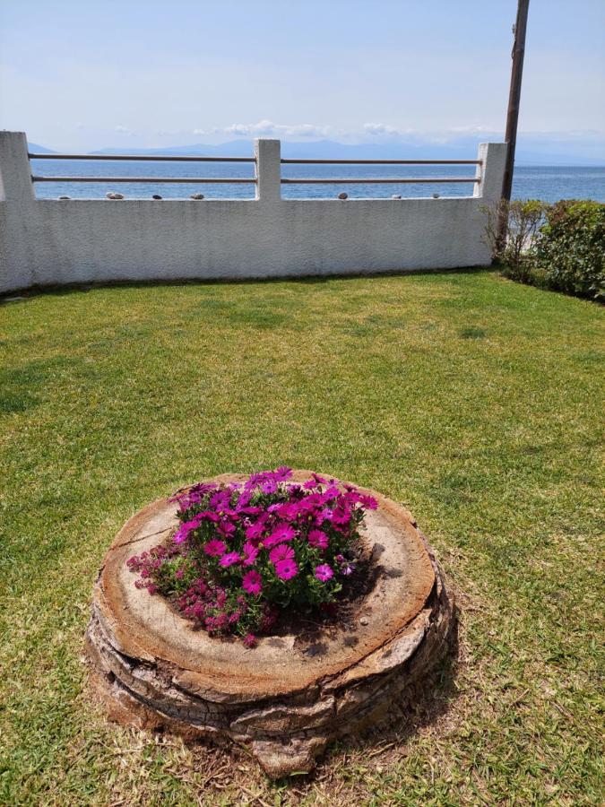 Platanidia Apartment Pelion Екстер'єр фото