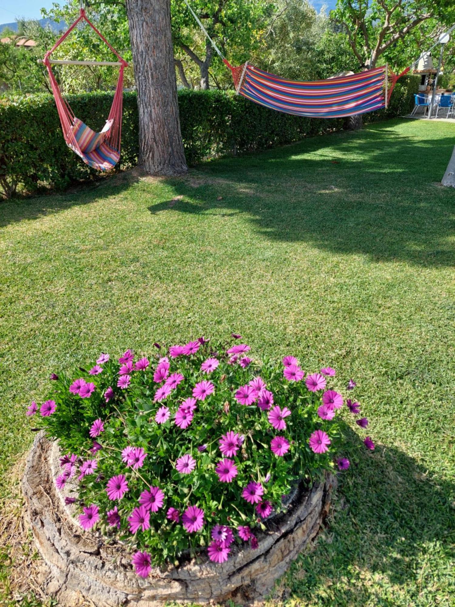 Platanidia Apartment Pelion Екстер'єр фото