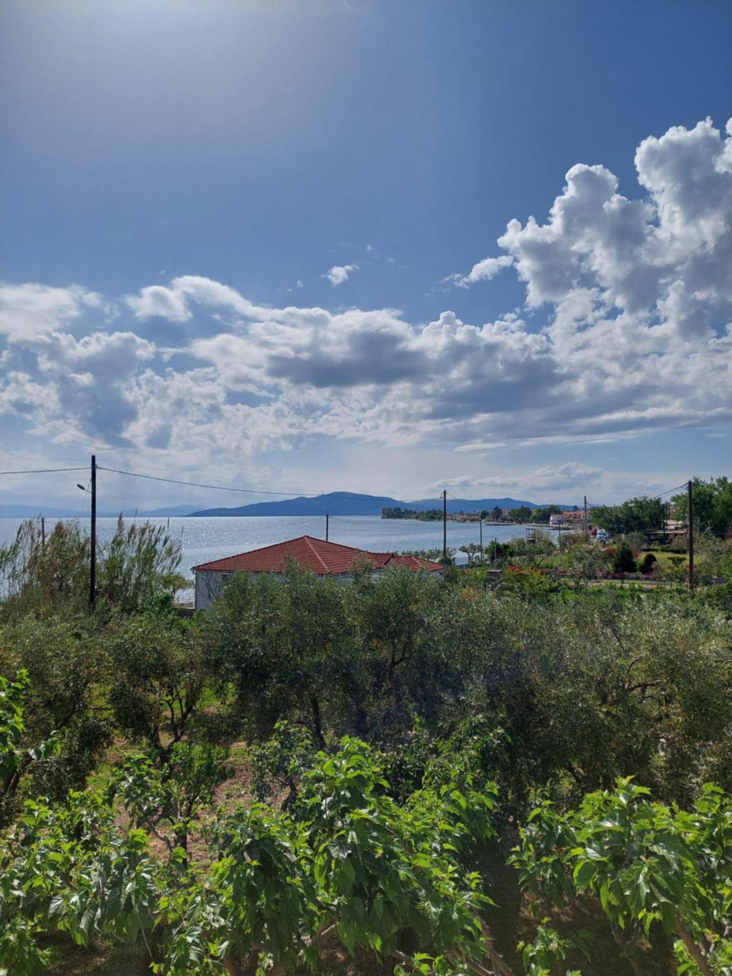 Platanidia Apartment Pelion Екстер'єр фото
